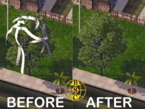 RJ - Toilet Paper Free Toilet Paper Tree